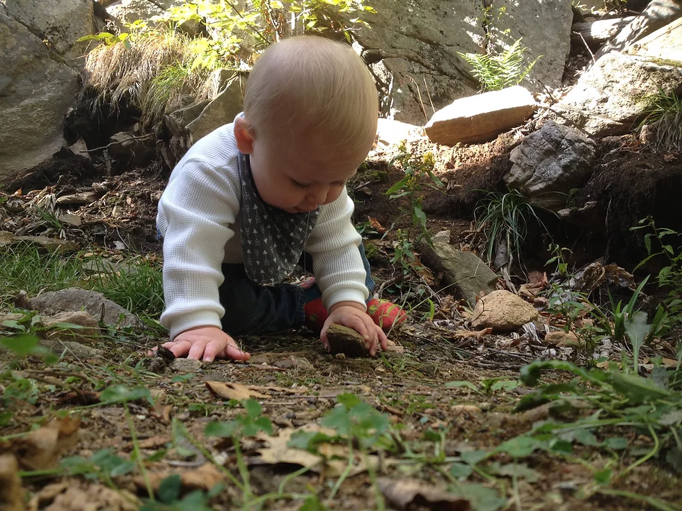 baby looking under rock