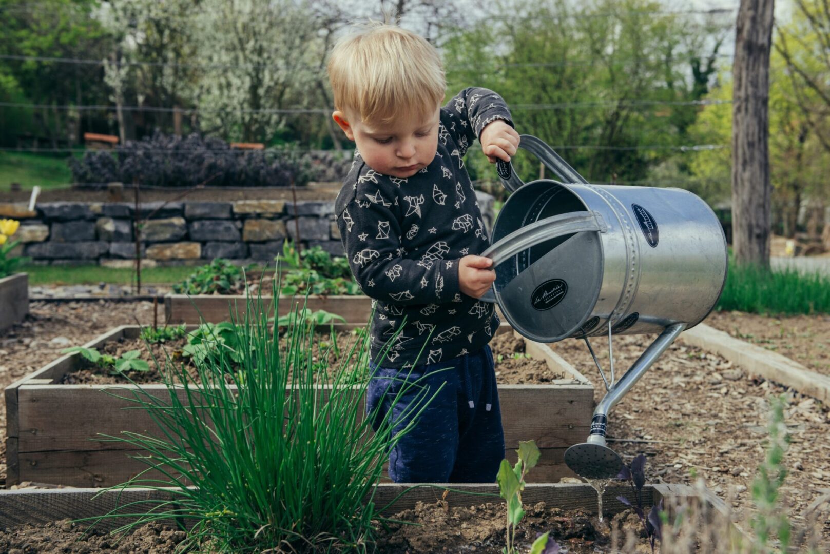 watering plants filip-urban-ffJ8Qa0VQU0-unsplash